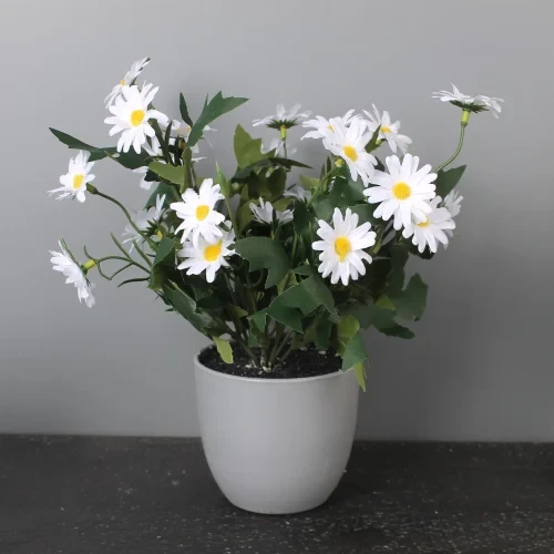 Artificial Daisy Flower in Pot