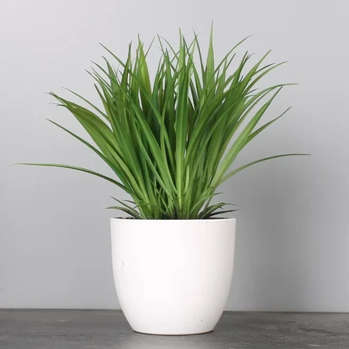 Artificial Grass Bush in Pot