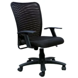 Ergonomic Mesh Chair